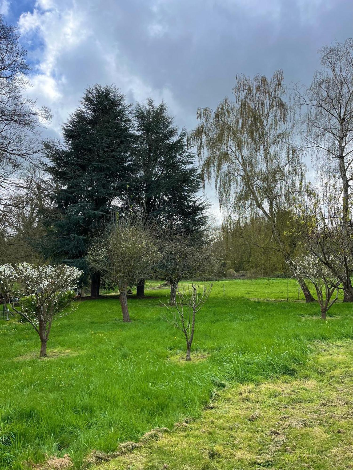 La Petite Campagne Panzió Blaru Kültér fotó