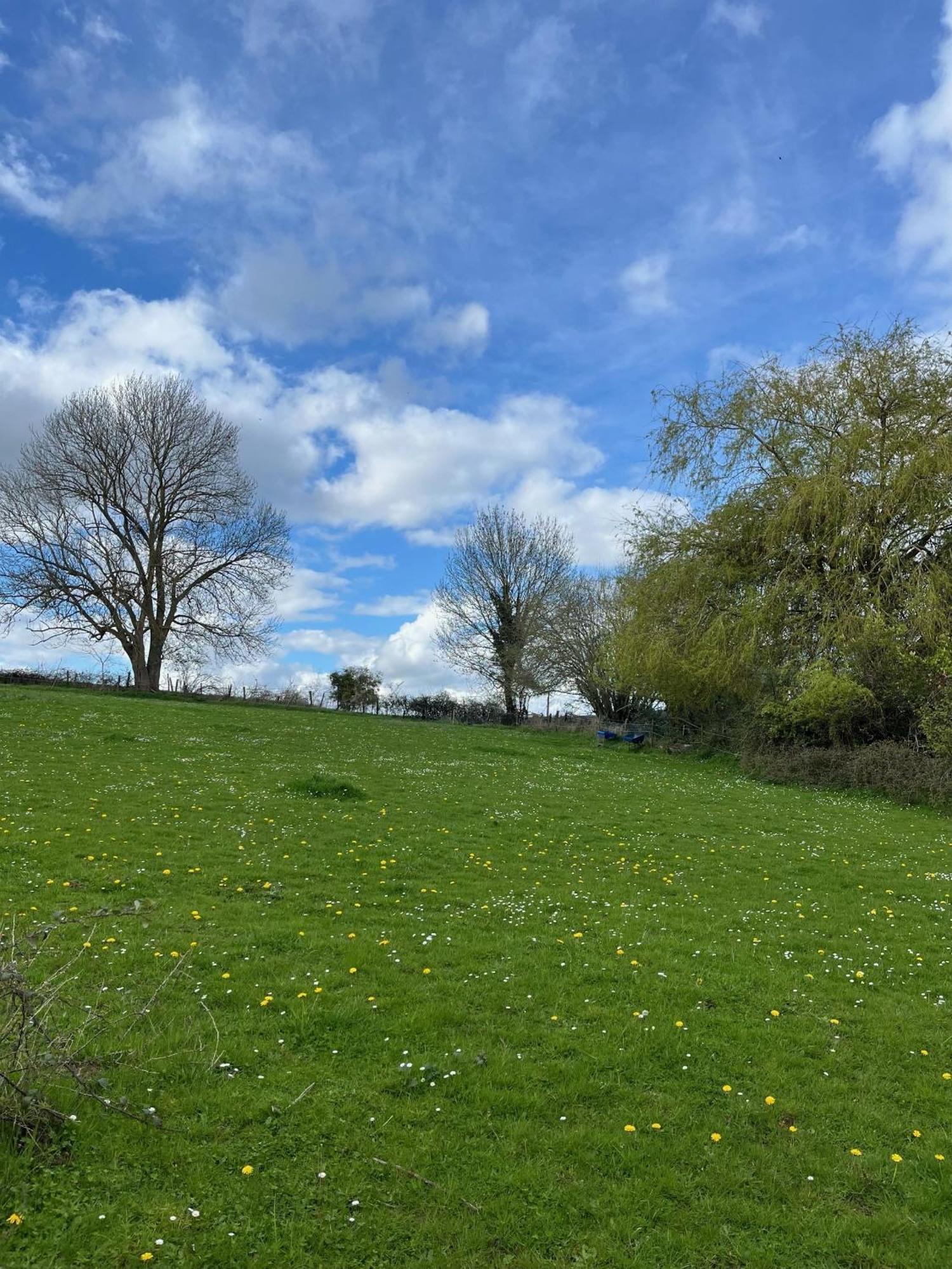 La Petite Campagne Panzió Blaru Kültér fotó